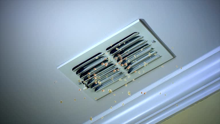 Best Commercial Air Duct Cleaning  in Woodworth, LA