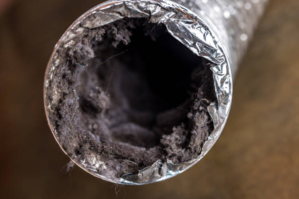 Best Professional Duct Cleaning Services  in Woodworth, LA