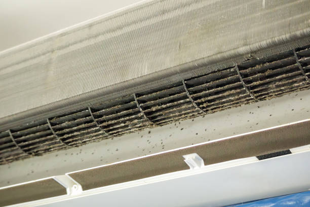 Best Commercial Air Duct Cleaning  in Woodworth, LA